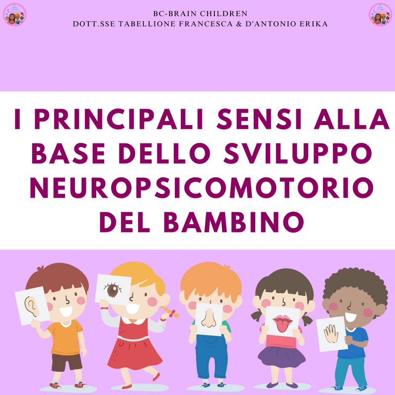 COPERTINE (55)