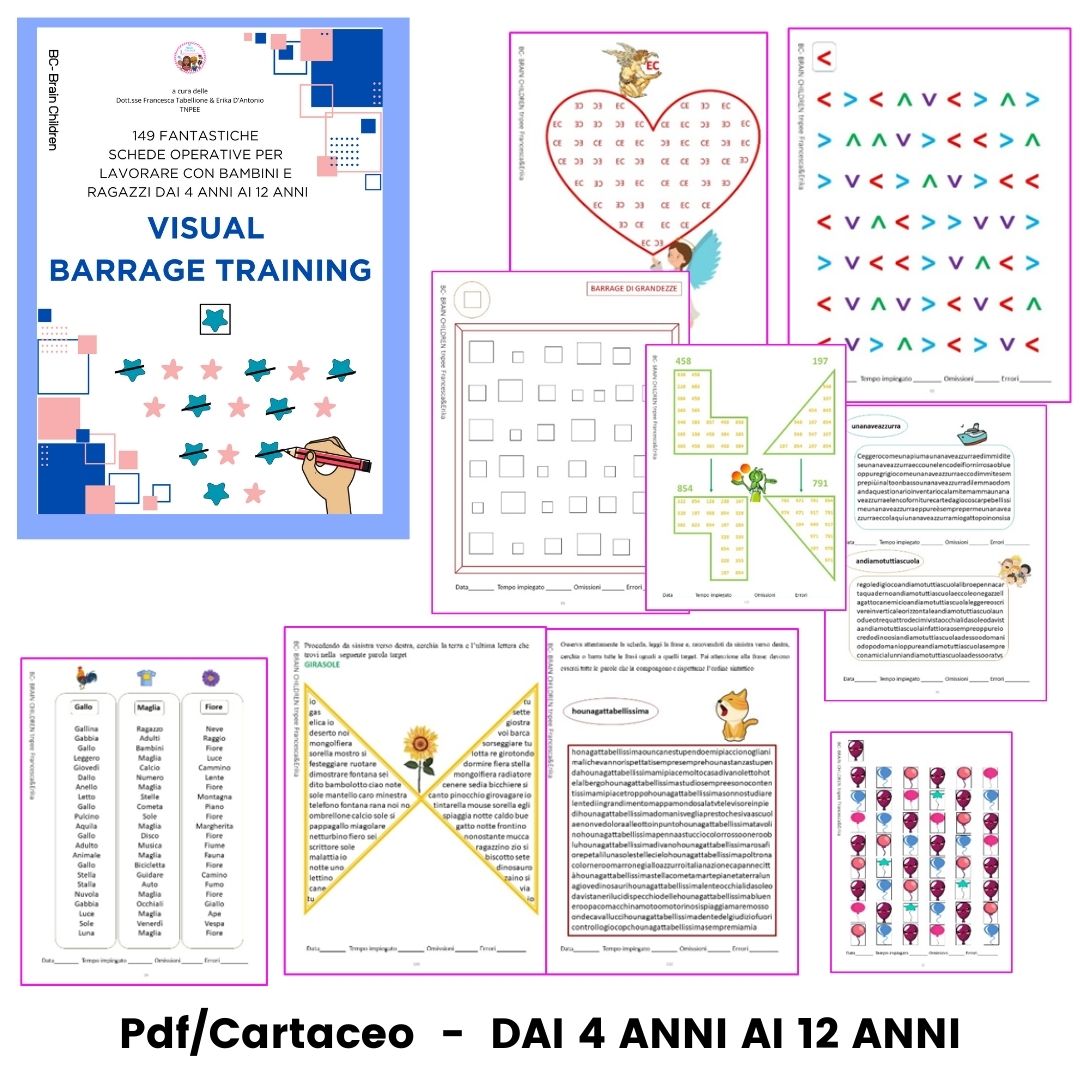 VISUAL BARRAGE TRAINING cartaceo