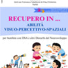 RECUPERO IN ABILITA' VISUO-PERCETTIVO-SPAZIALI STAMPATO