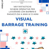 VISUAL BARRAGE TRAINING cartaceo